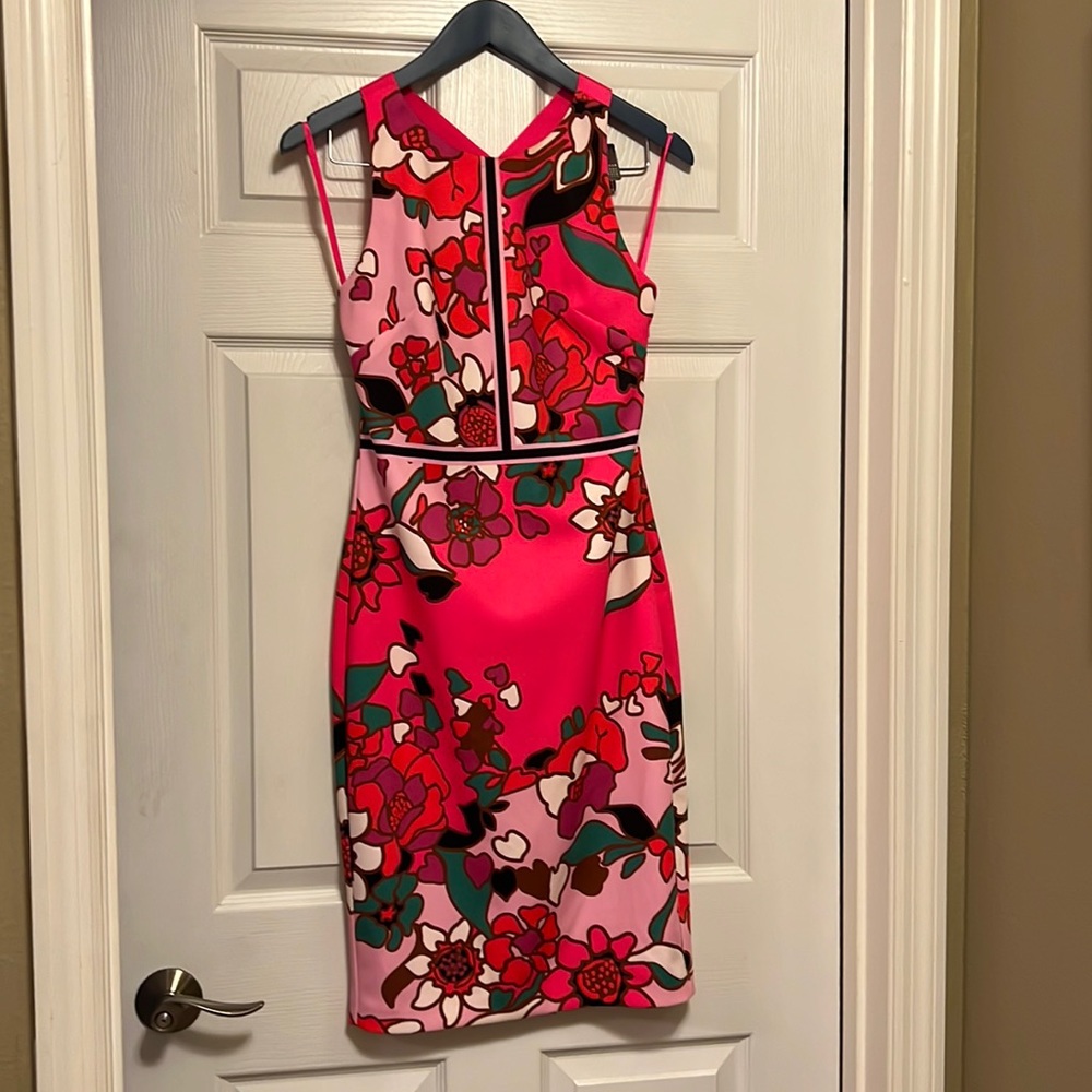 Ted Baker Dress